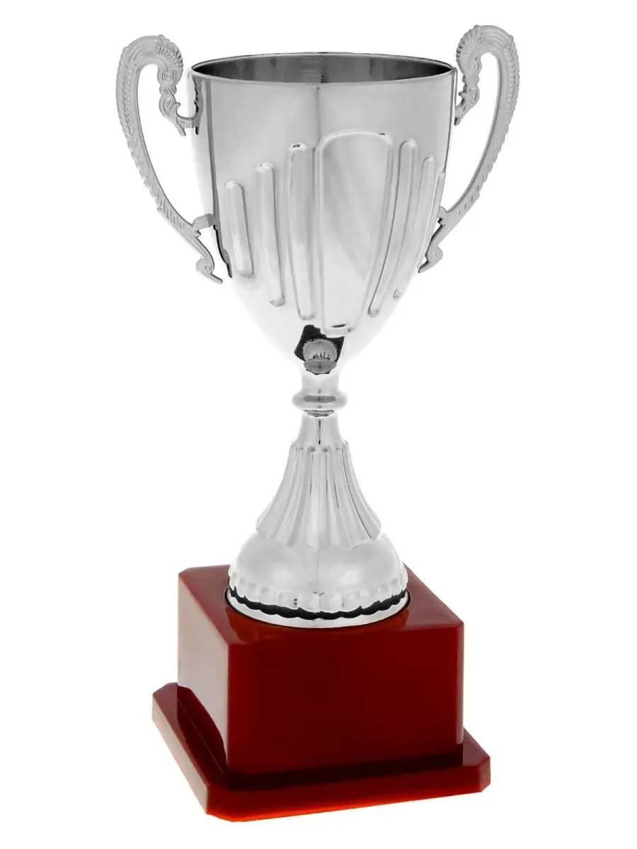Спортивный кубок. Кубок металлический для награждения. Спортивный кубок серебро. Кубок серебро. Кубок пластмассовый золотой.