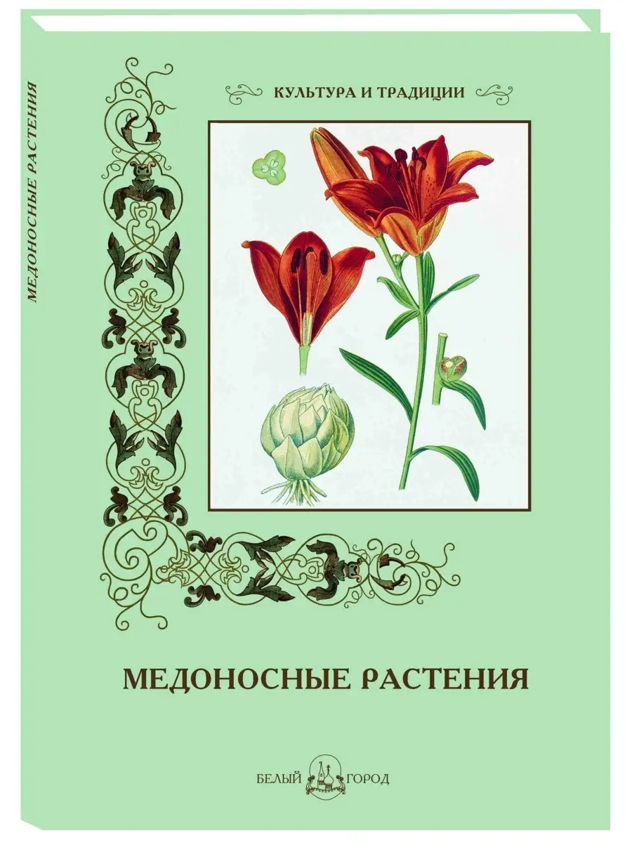 Медоносные растения Белый Город / Воскресный день 43220282 купить в  интернет-магазине Wildberries