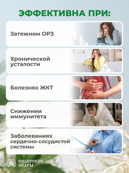 Сибирские кедры Живица кедровая натуральная 10 % бальзам, вариант, фото 4