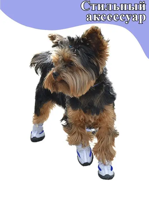 Cats&Dogs Летняя обувь для собак на молнии и липучке, синий, фото 2