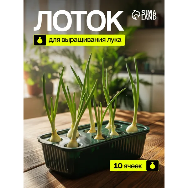 Лоток для выращивания зелёного лука