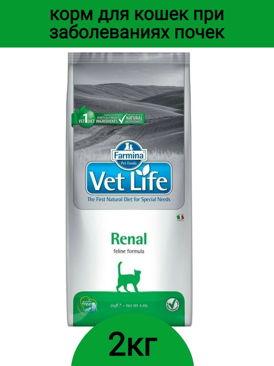 Farmina (Фармина) vet Life Cat renal 2кг. Vet Life мусс. Farmina Basic Maintenance 20 кг. Vet Life renal сухой сколько грамм можно давать для кошек.