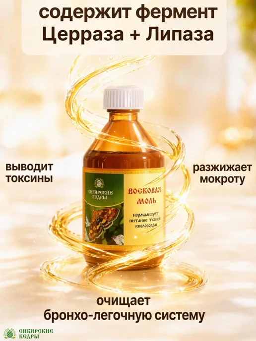 Сибирские кедры Огневка пчелиная, настойка восковой моли, вариант, фото 2