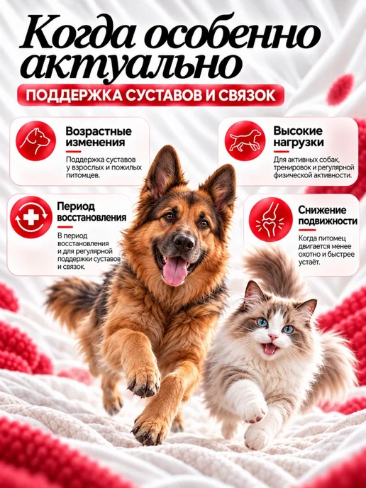 LAPVIX Глюкозамин хондроитин MSM жидкий для собак и кошек 200 мл, 200 мл, фото 3