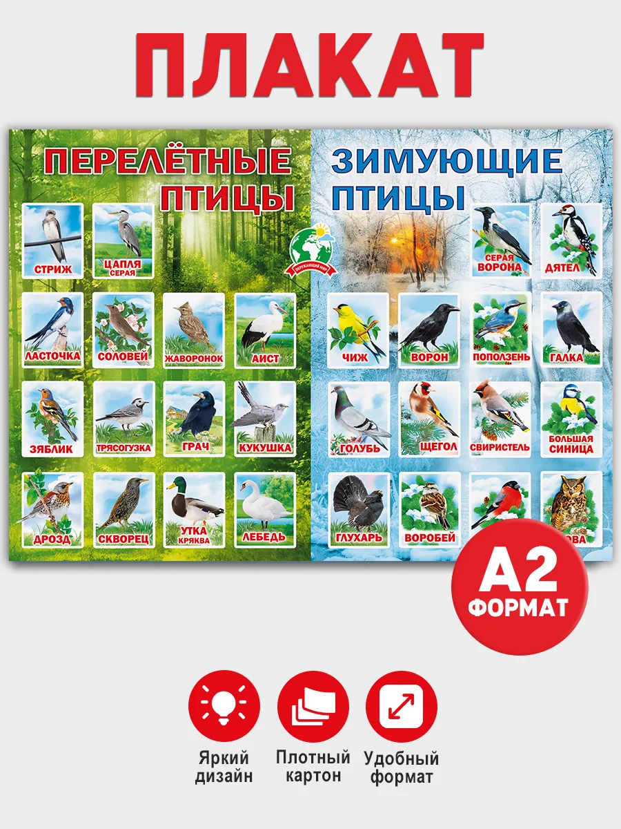 Плакат по окружающему миру Перелётные и зимующие птицы