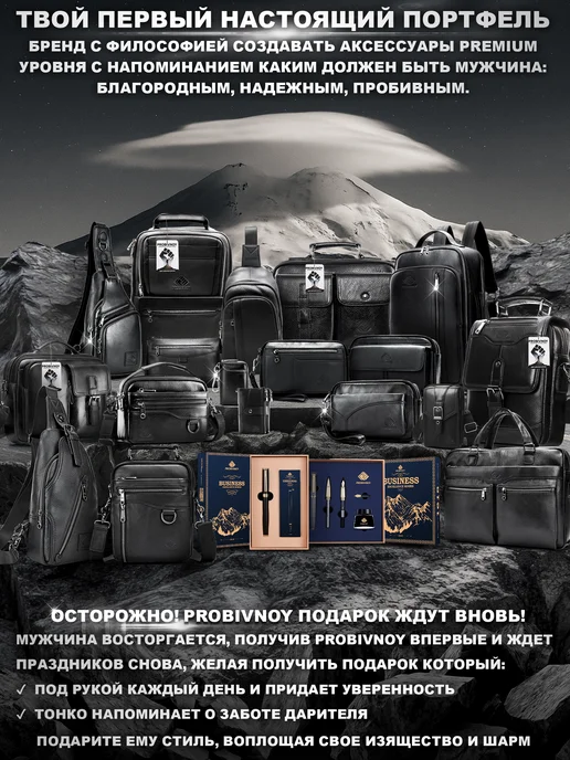 PROBIVNOY ix160 Портфель черный, натуральная кожа, черный, фото 2