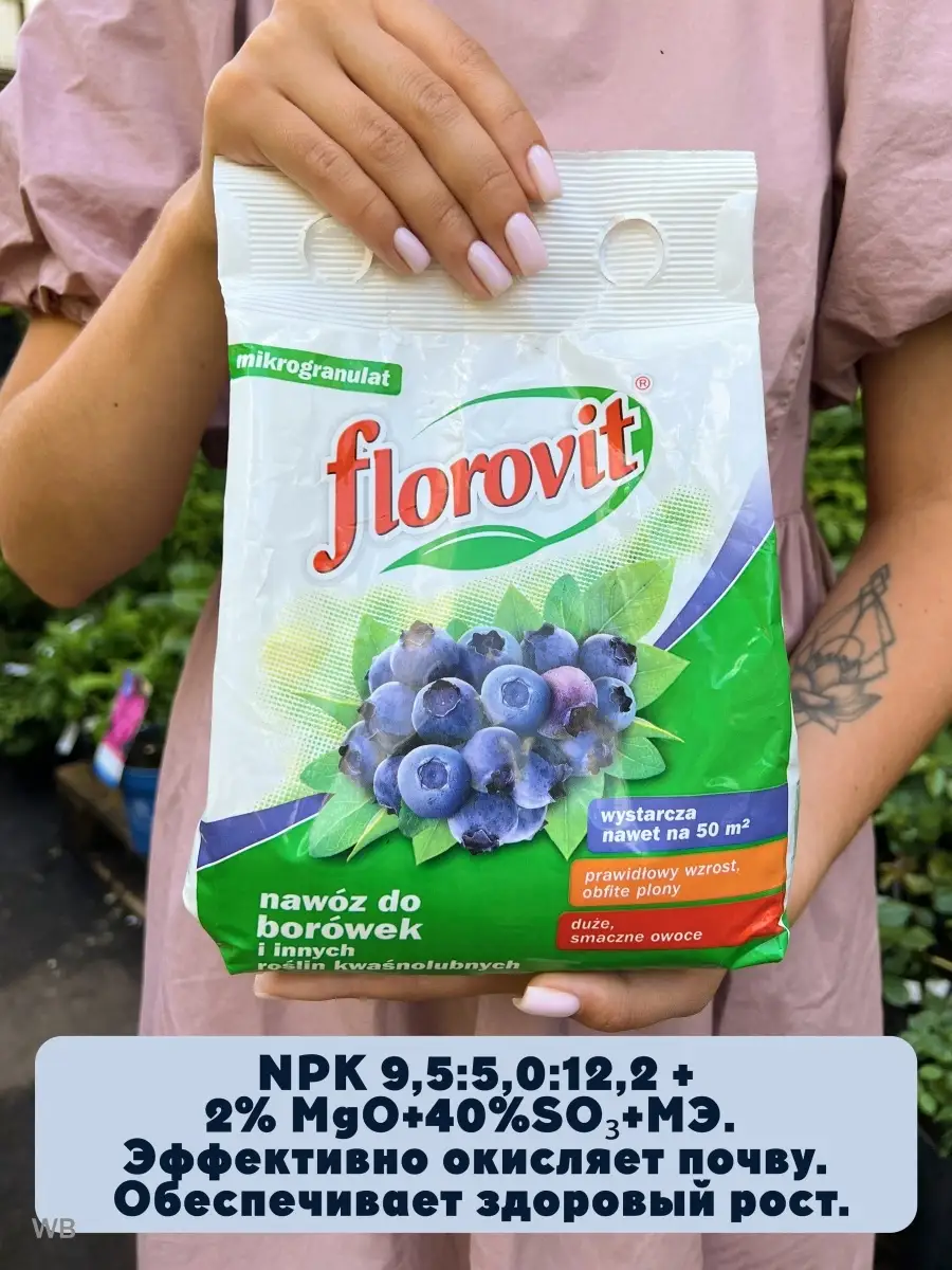 Удобрение Florovit для голубики гранул. 3 кг FLOROVIT 43746814 купить в  интернет-магазине Wildberries