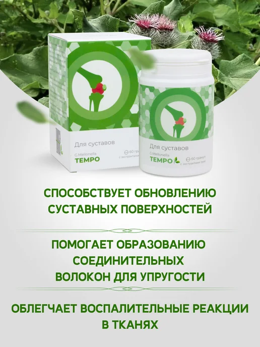 Touch Zhiva Огневка TEMPO комплекс для суставов и связок, вариант, фото 3