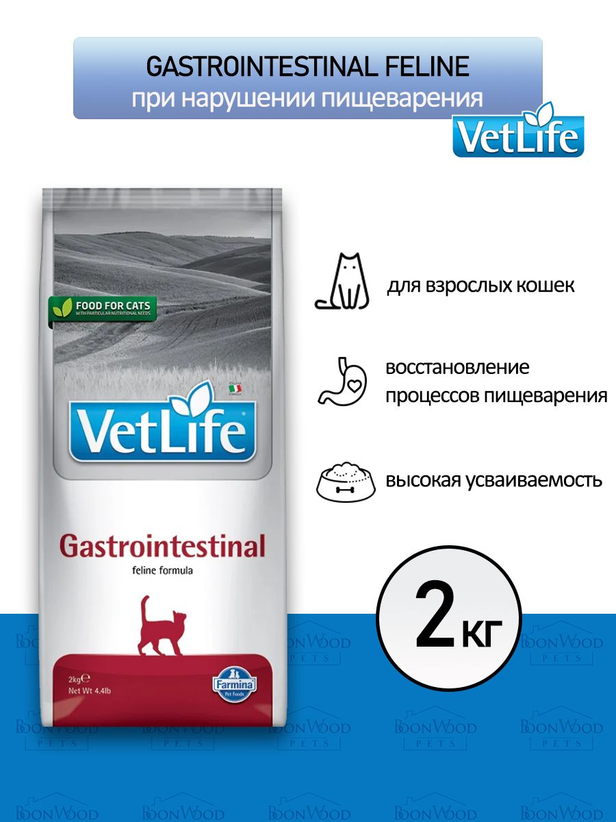 Vet Life hepatic корм для собак сухой. Farmina Gastrointestinal корм для кошек. Фармина Gastrointestinal для кошек. Vet Life Gastrointestinal корм для кошек.