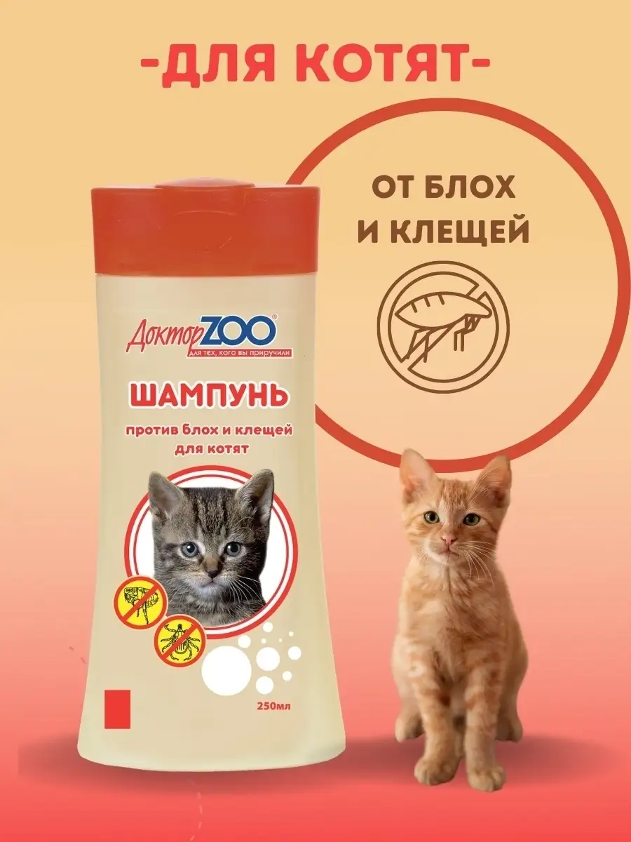 Шампунь от блох и клещей для котят ДокторZOO 43875743 купить за 298 ₽ в  интернет-магазине Wildberries