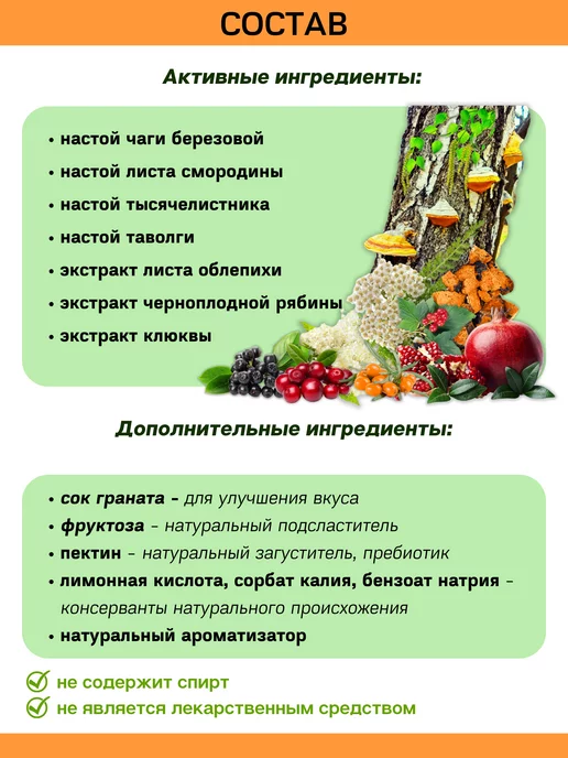 IMMUNO.SHOP Чага березовая фитоконцентрат 120 мл, 120 мл, фото 2
