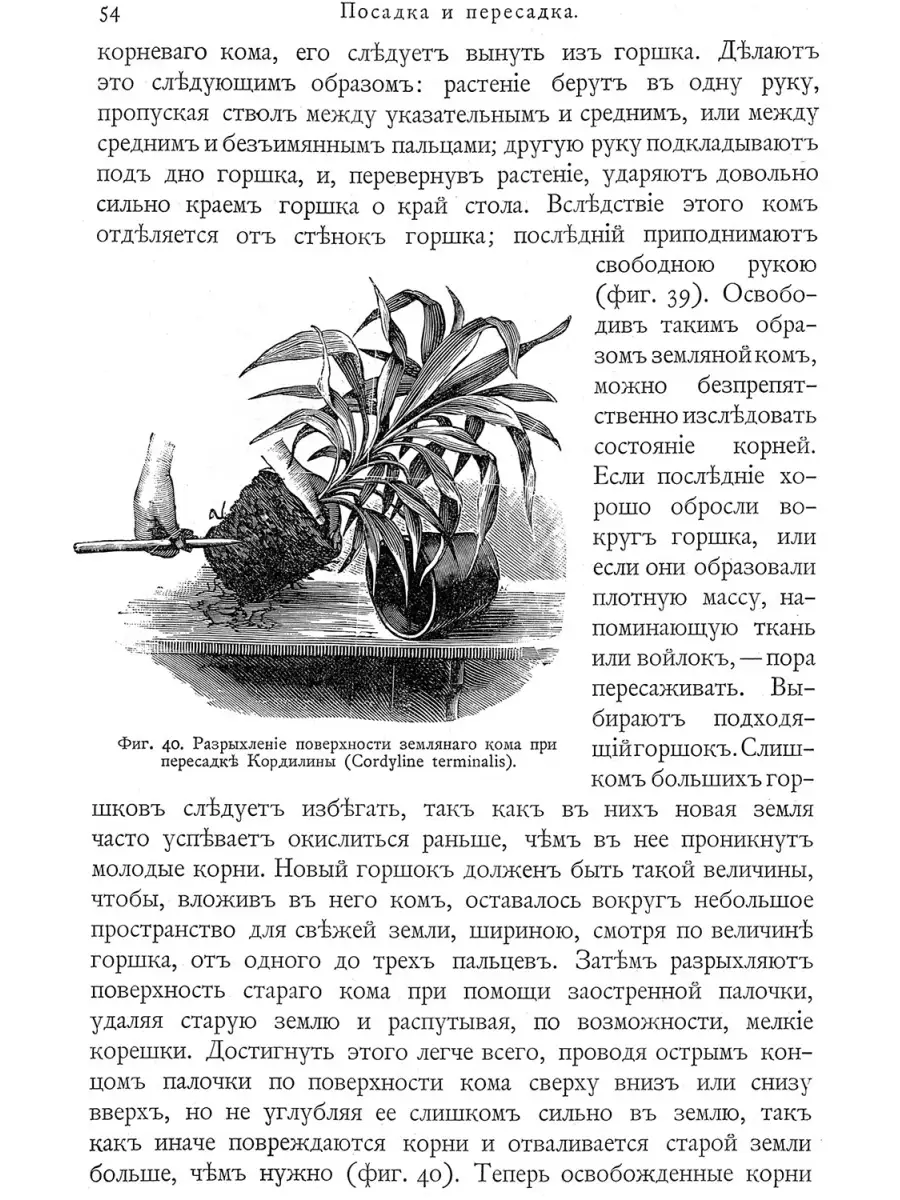 Книга Комнатное садоводство Красивые дома 43939678 купить за 2 185 ₽ в  интернет-магазине Wildberries