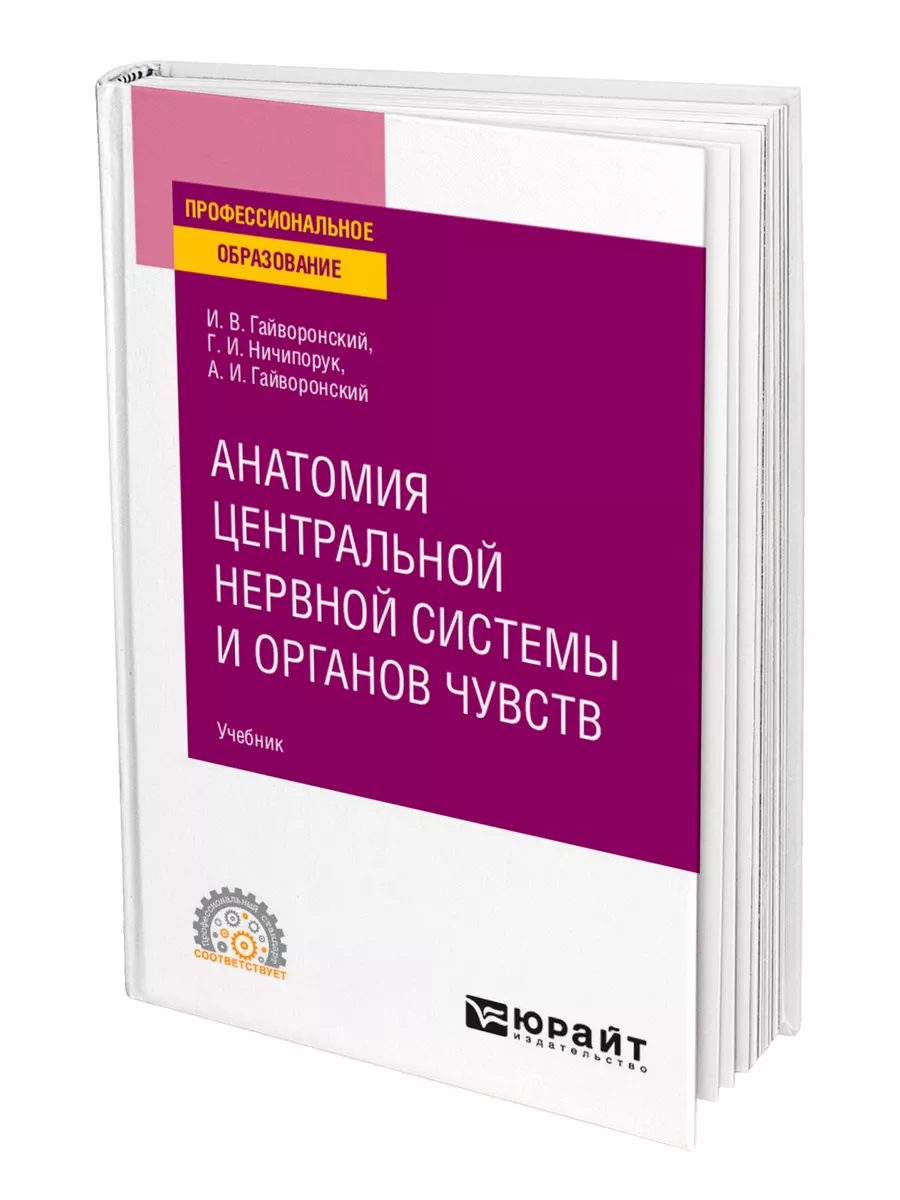 Анатомия центральной нервной системы и органов чувств Юрайт 44123266 купить  за 1 183 ₽ в интернет-магазине Wildberries