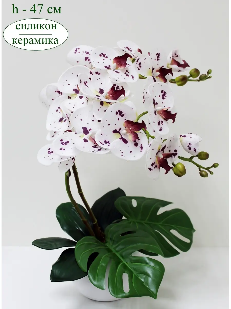 Композиции из орхидей в интерьере | Смотреть 56 идеи на фото бесплатно