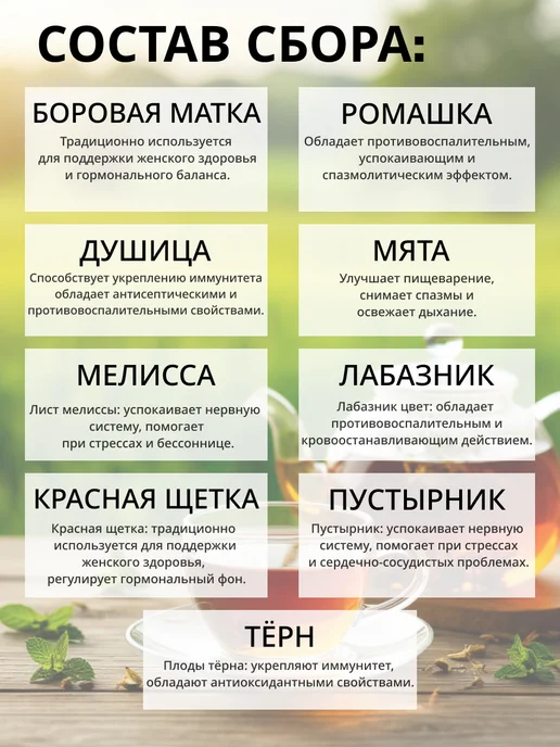 Рецепты кавказских горцев Боровая Матка и Красная Щетка фиточай женский Травяной сбор, красный, фото 2