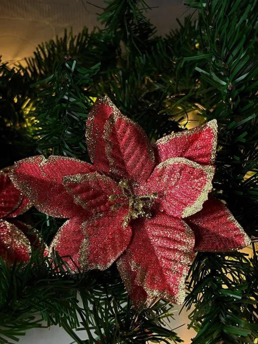 Пуансеттия красная: цветы для новогоднего настроения | Новогодний декор для дома