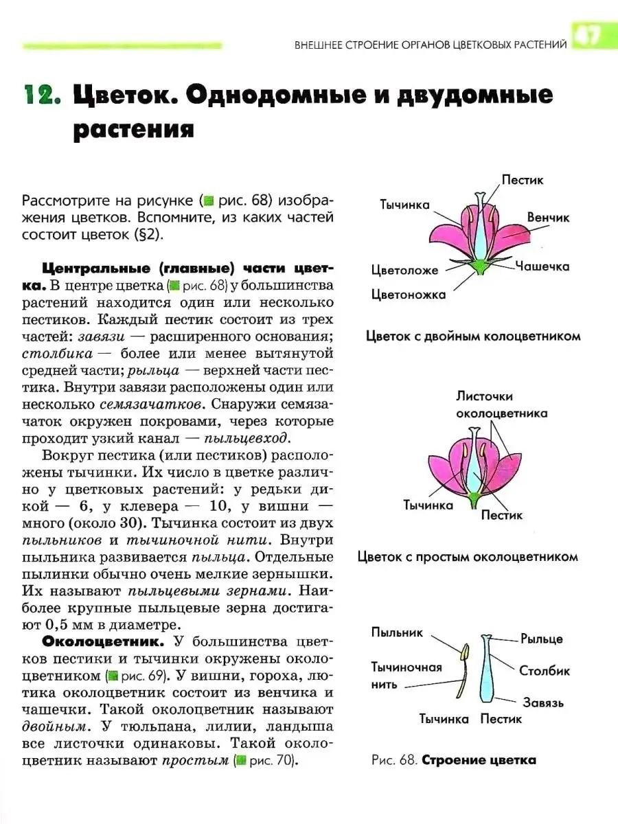 Биология 7 класс. Растения. Бактерии. Грибы и лишайники. Учебник ФГОС.  Викторов В.П., Никишов А.И. Издательство Владос 44552853 купить за 1 281 ₽  в интернет-магазине Wildberries