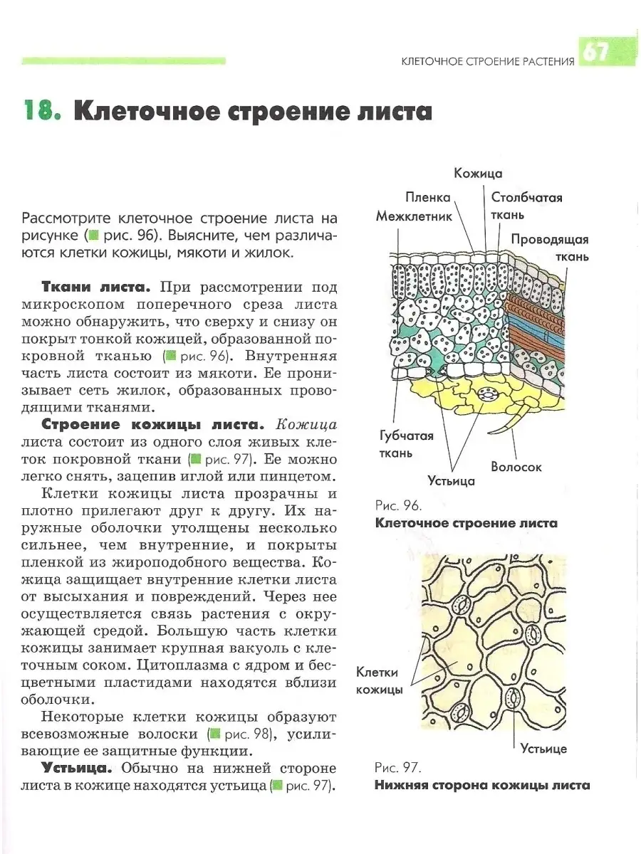 Биология 7 класс. Растения. Бактерии. Грибы и лишайники. Учебник ФГОС.  Викторов В.П., Никишов А.И. Издательство Владос 44552853 купить за 1 266 ₽  в интернет-магазине Wildberries