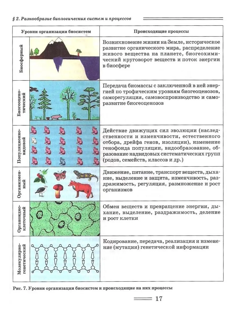 Видообразование. Пути и способы видообразования