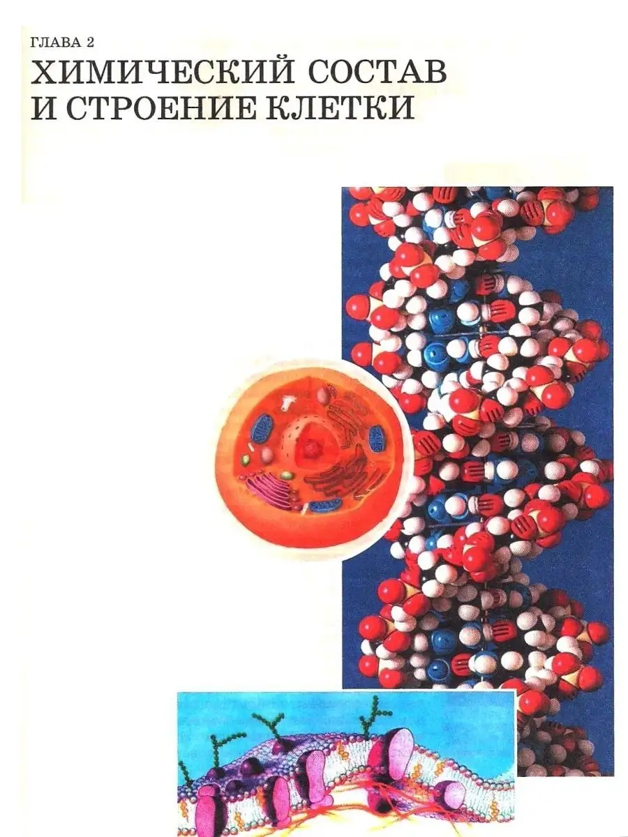 Биология 10 класс (углубленный уровень). Биологические системы и процессы.  Учебник ФГОС. Издательство Владос 44563719 купить за 1 281 ₽ в  интернет-магазине Wildberries