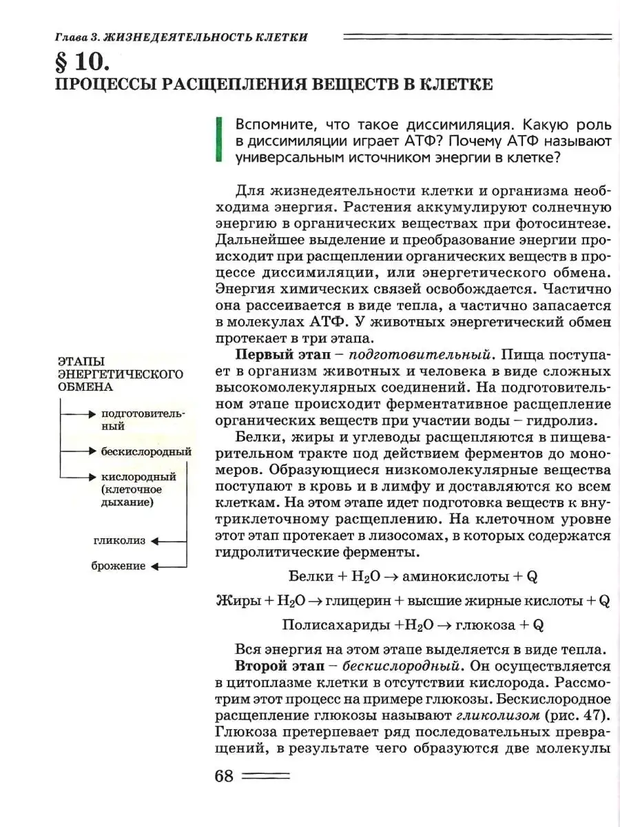 Биология 10 класс (углубленный уровень). Биологические системы и процессы.  Учебник ФГОС. Издательство Владос 44563719 купить за 1 281 ₽ в  интернет-магазине Wildberries