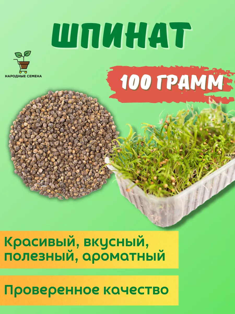 Семена Шпината 100гр Народные семена 44613932 купить в интернет-магазине  Wildberries