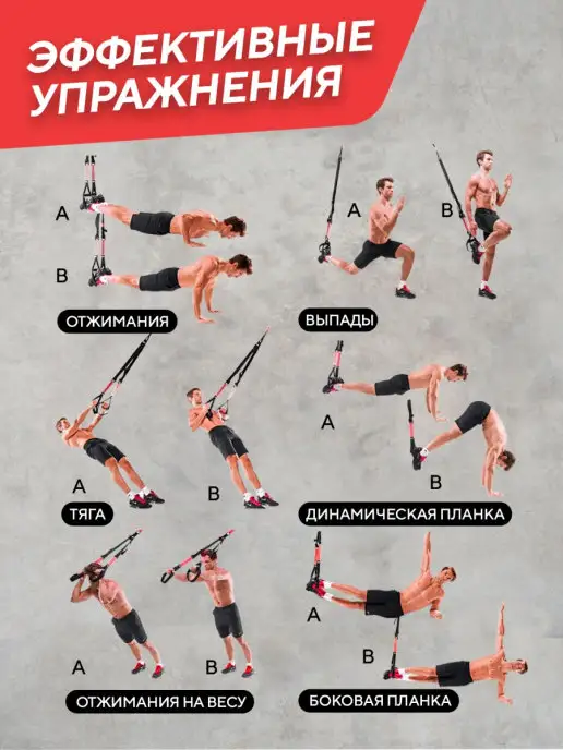 stecter Тренировочные многофункциональные петли, черный, фото 5