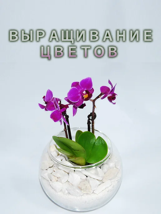 Нет бренда Грунт для растений. Декоративный. Пеностекло 2л, 2 л, фото 5