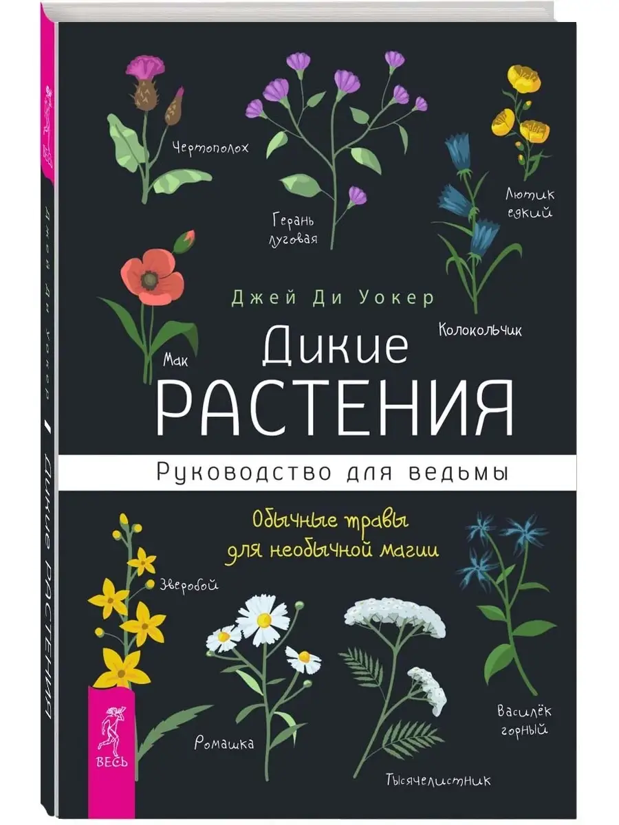 Дикие растения: руководство для ведьмы. Обычные травы Издательская группа  Весь 44775362 купить в интернет-магазине Wildberries