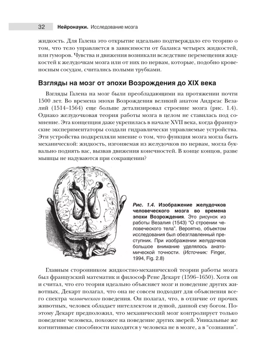 Нейронауки. Исследование мозга. В 3 т. Т.1 Диалектика 44796526 купить за 2  921 ₽ в интернет-магазине Wildberries