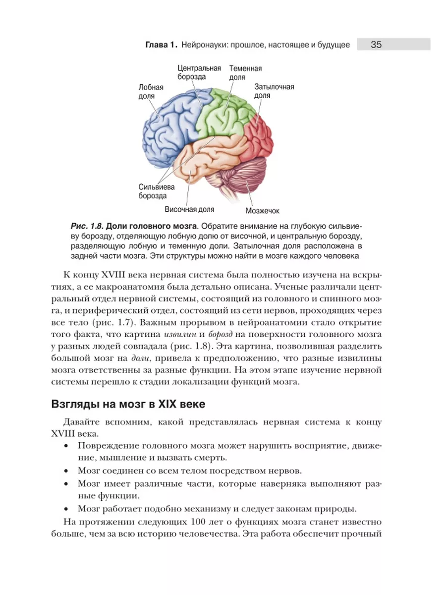 Нейронауки. Исследование мозга. В 3 т. Т.1 Диалектика 44796526 купить за 2  921 ₽ в интернет-магазине Wildberries