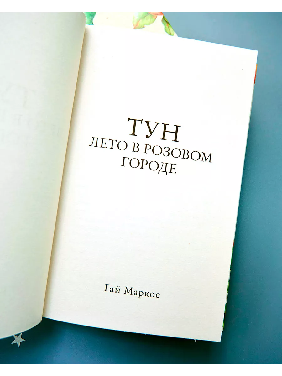 Тун. Лето в розовом городе Издательство CLEVER 44883920 купить в  интернет-магазине Wildberries