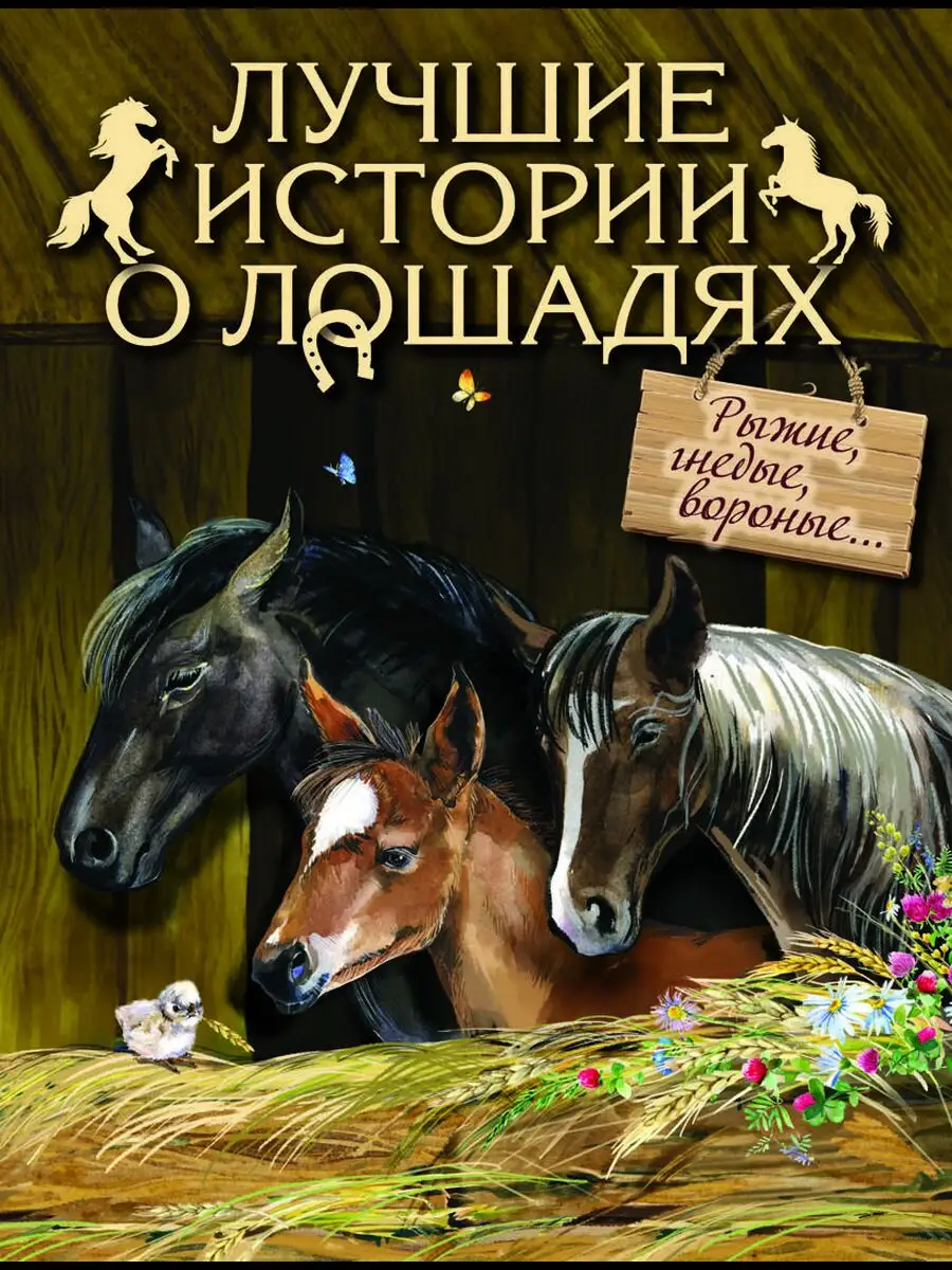 Лучшие истории о лошадях