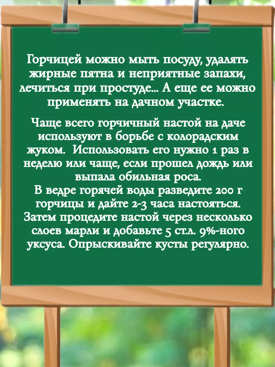 Горчичный порошок 550г Горчица Роспланта 44979849 купить в  интернет-магазине Wildberries