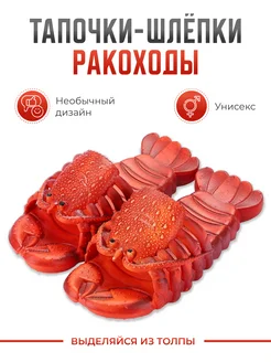 Шлепанцы тапки Ракоходы True Story 45050425 купить за 928 ₽ в интернет-магазине Wildberries