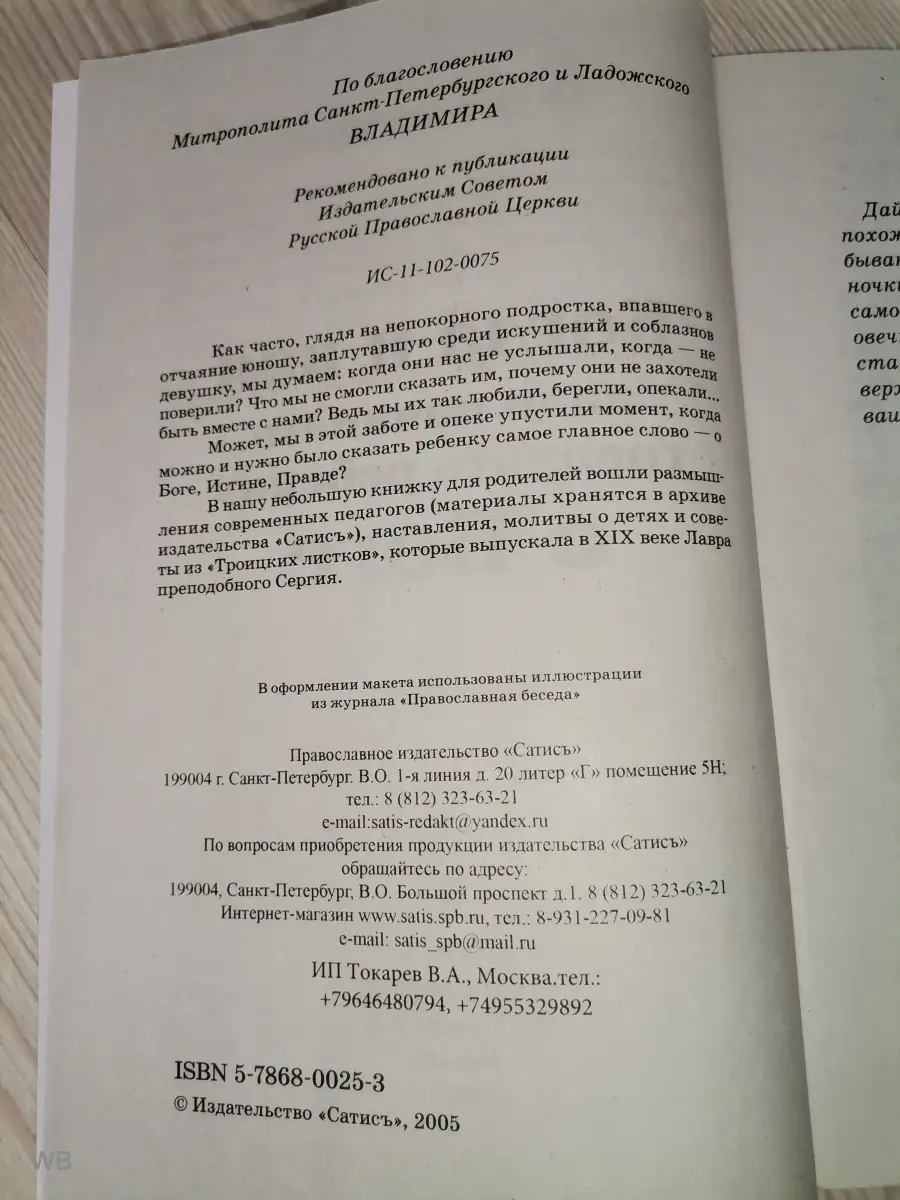 Когда и как надо начинать говорить ребенку о Боге (Сатисъ) Сатисъ 45136952  купить за 136 ₽ в интернет-магазине Wildberries