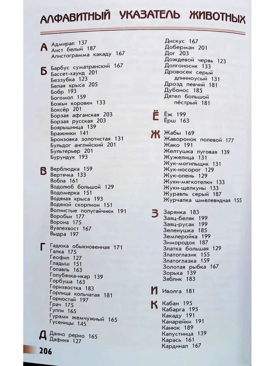 Плешаков От земли до неба Просвещение 45151943 купить за 806 ₽ в  интернет-магазине Wildberries