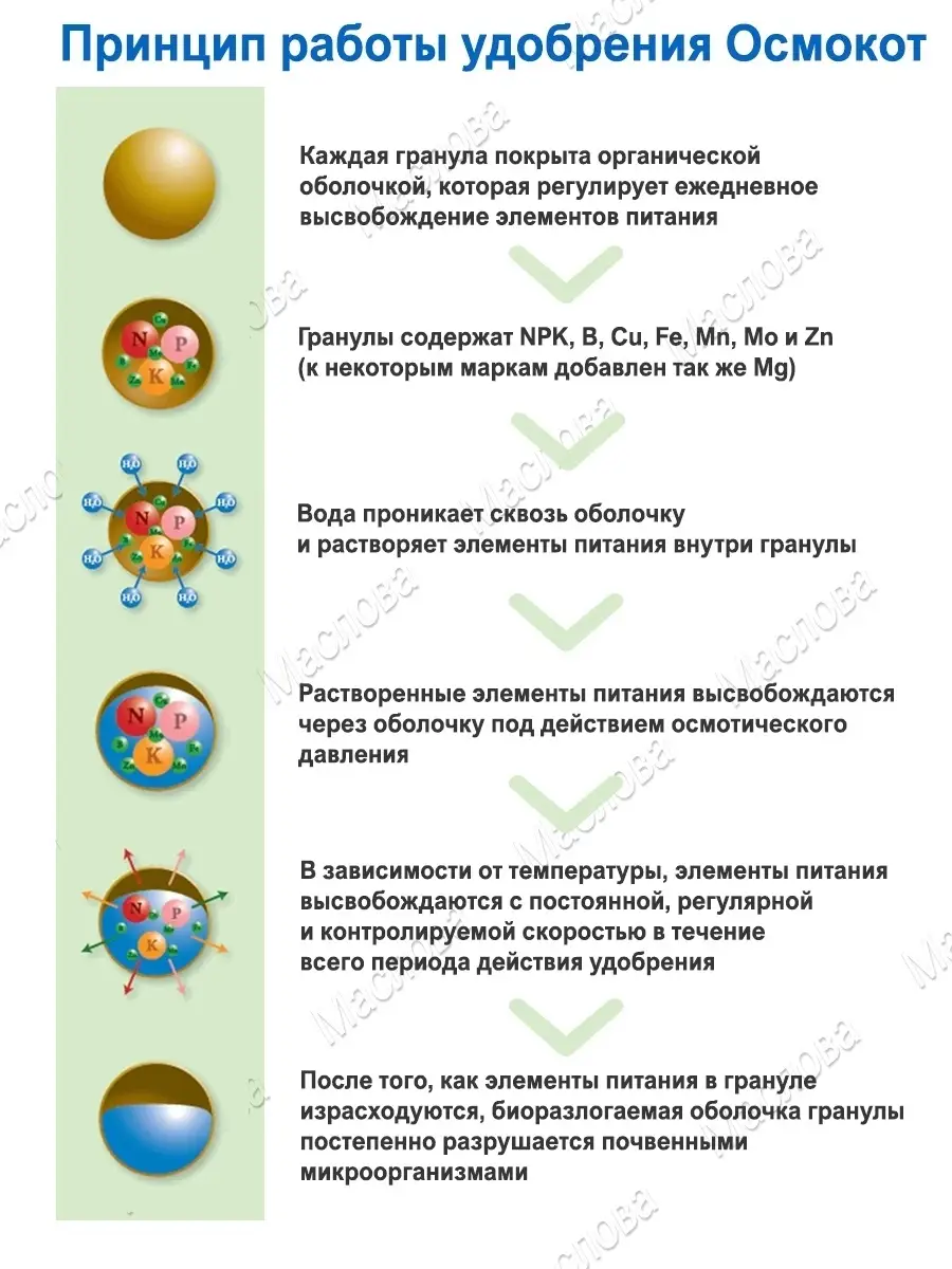 Удобрение для комнатных растений, огорода Осмокот Экзакт 5-6 Osmocote  45155404 купить за 1 068 ₽ в интернет-магазине Wildberries