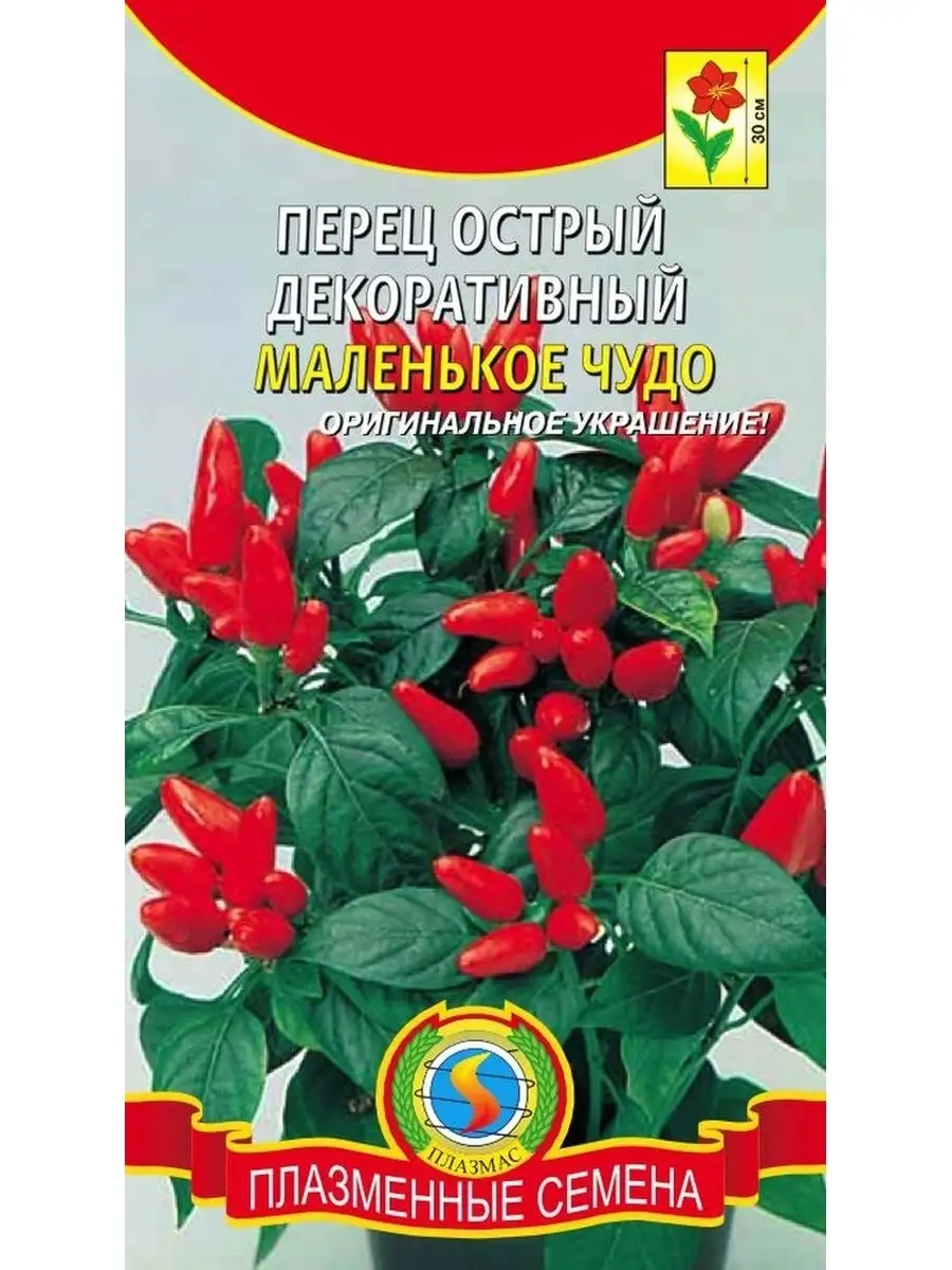 Декоративный перец капсикум. Перец огонек семена. Перец острый семена. Перец кустарниковый дракоша. Семена острого перца для подоконника.