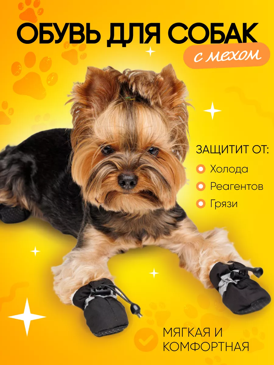 Налапники — удобная обувь для собак на липучке