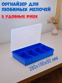 Органайзер для мелочей на 5 ячеек, 280х185х50мм BOXplast 45260882 купить за 325 ₽ в интернет-магазине Wildberries