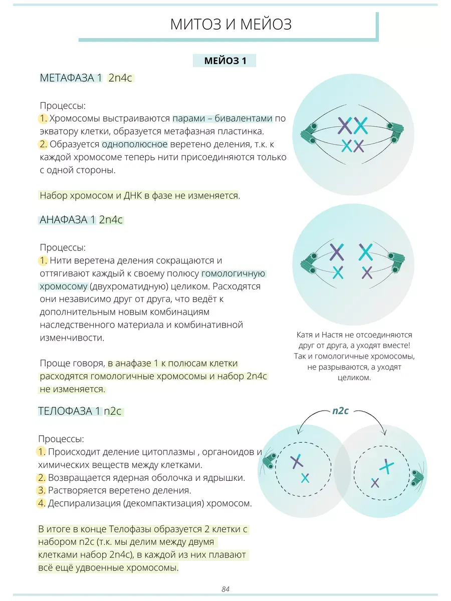 Учебник по биологии ЕГЭ, ОГЭ Онлайн школа Breeze 45269728 купить в  интернет-магазине Wildberries