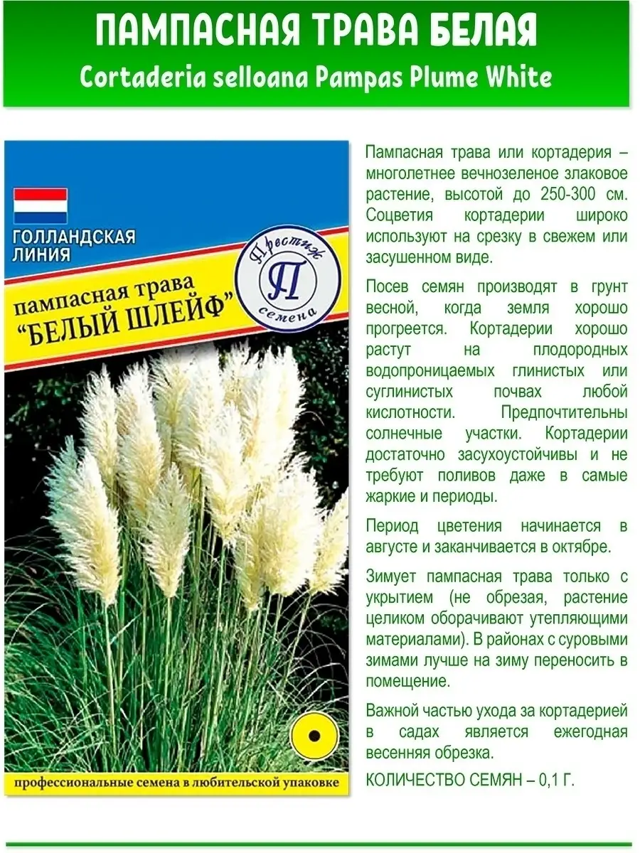 Пампасная трава / кортадерия, 2 пак Престиж Семена 45311141 купить в  интернет-магазине Wildberries