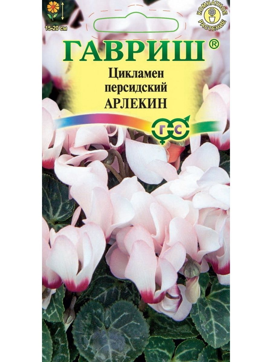 Цикламен персидский Арлекин, 1 шт Гавриш 45409194 купить в  интернет-магазине Wildberries