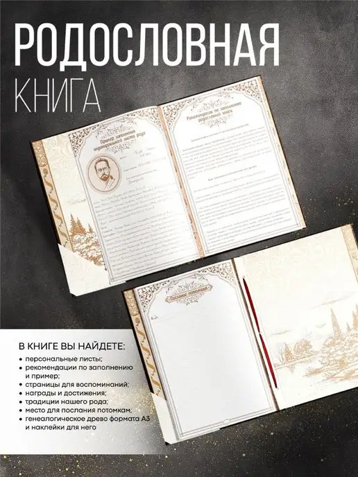 Семейные традиции Родословная книга, перо, 50 листов, 22 х 31 см, вариант, фото 2