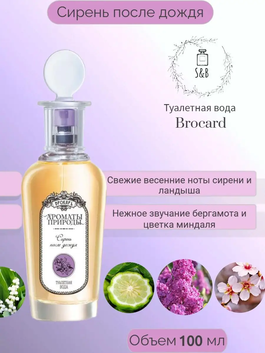 Туалетная вода Сирень после дождя 100 мл BROCARD 45887257 купить за 496 ₽ в  интернет-магазине Wildberries