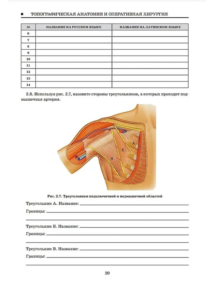 Топографическая анатомия и оперативная хирургия ГЭОТАР-Медиа 45937696  купить за 1 626 ₽ в интернет-магазине Wildberries