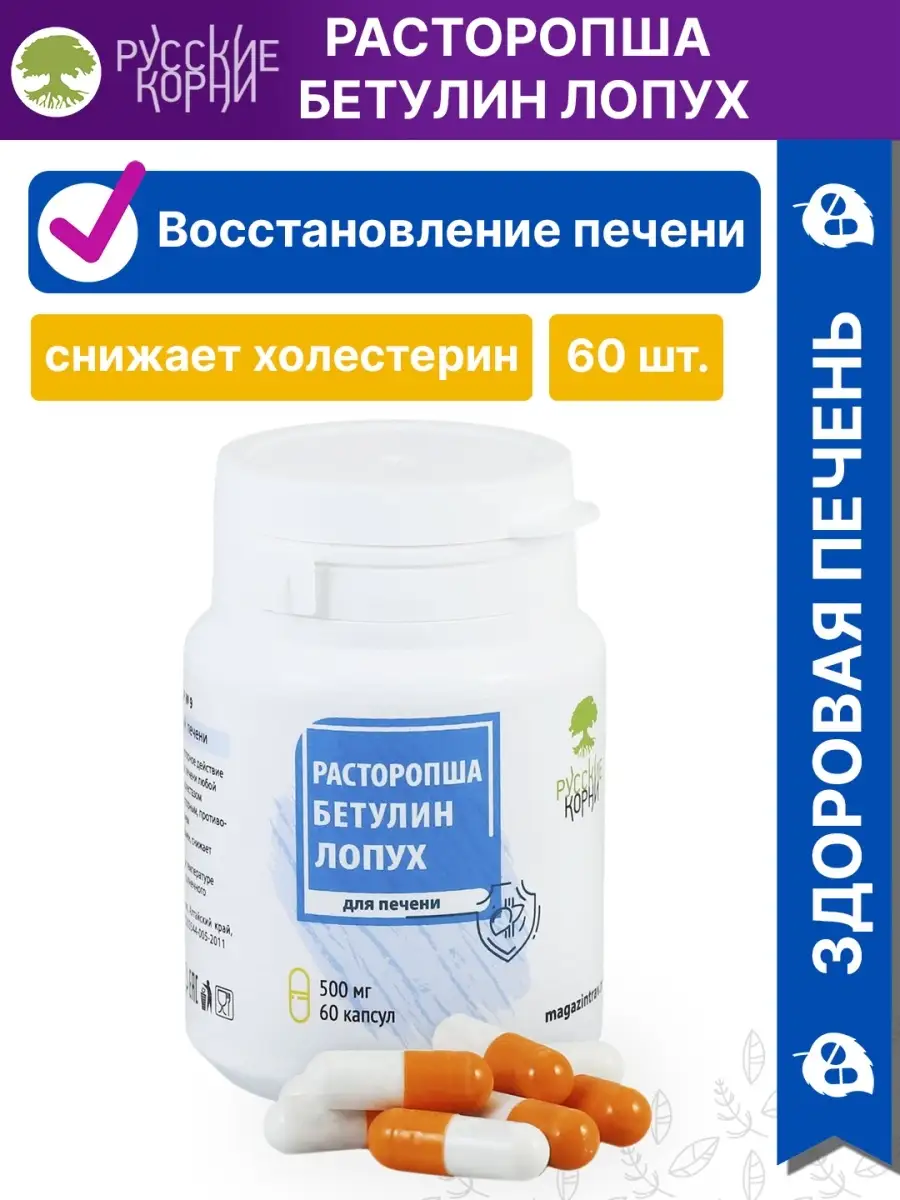 Восстановление печени, при отравлении Русские корни 46018921 купить за 657  ₽ в интернет-магазине Wildberries