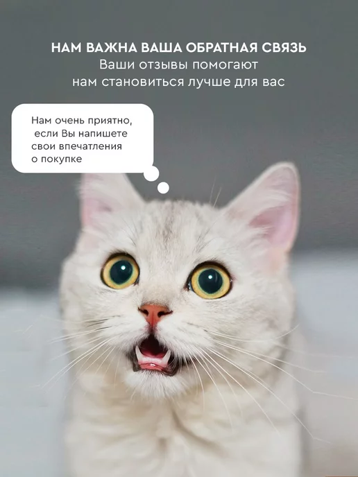 TUTTO L'ANNO Картхолдер из натуральной кожи для банковских карт, черный, фото 7