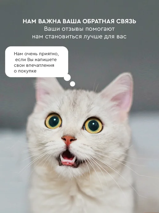TUTTO L'ANNO Обложка для автодокументов натуральная кожа на кнопке, вариант, фото 7